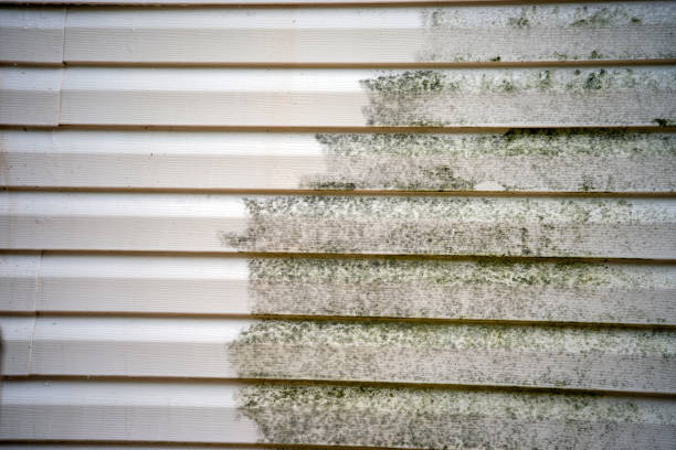 How To Choose The Right Materials for Your Siding Installation in 'Paris, TN